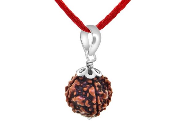 5 Mukhi Rudraksha for Peace, Protection and Spiritual Growth 5 Mukhi Rudraksha