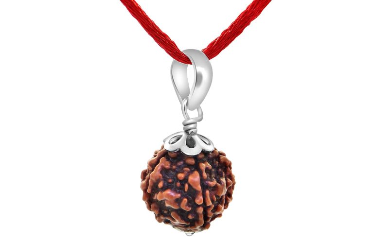 5 Mukhi Rudraksha