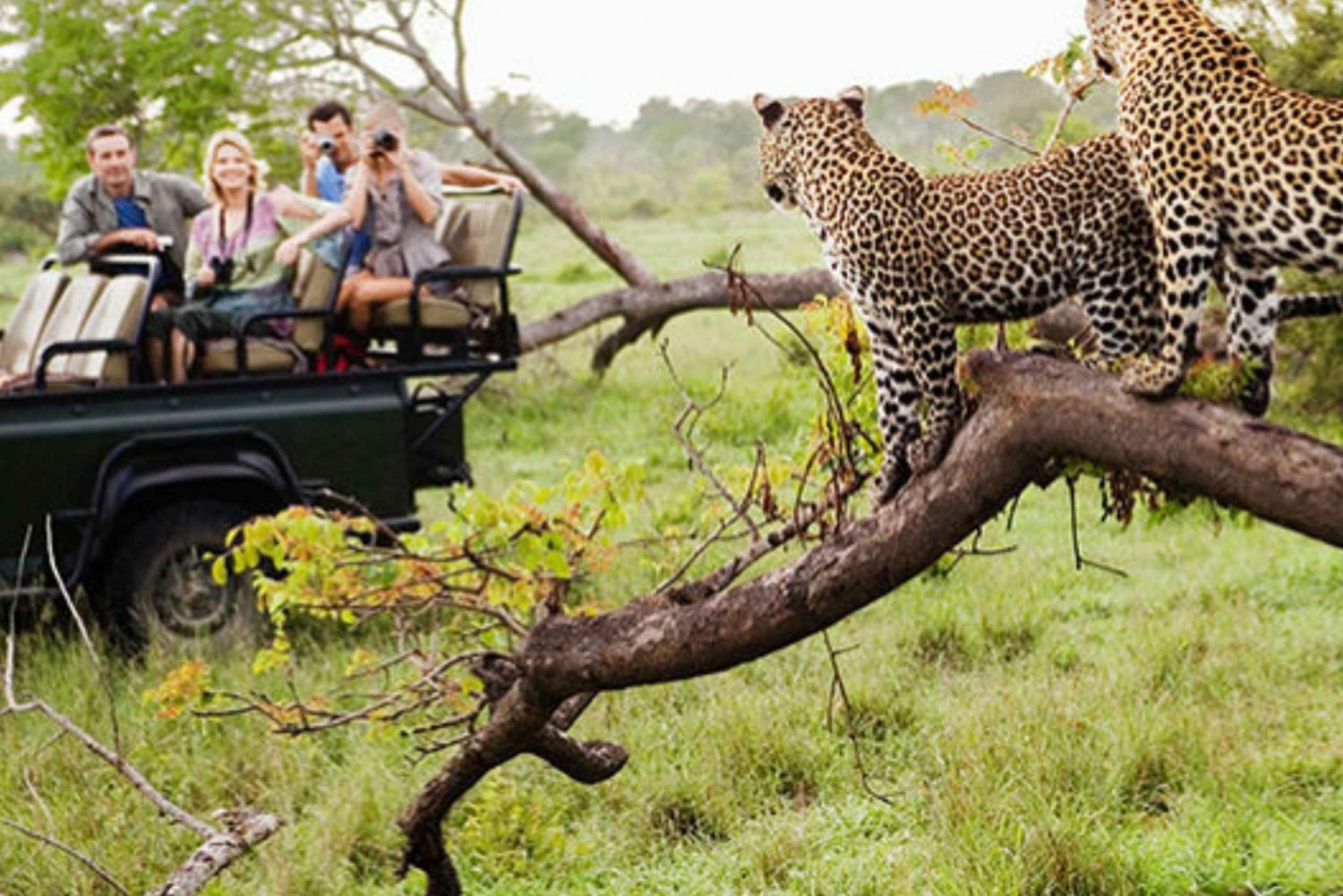 book jhalana safari tickets