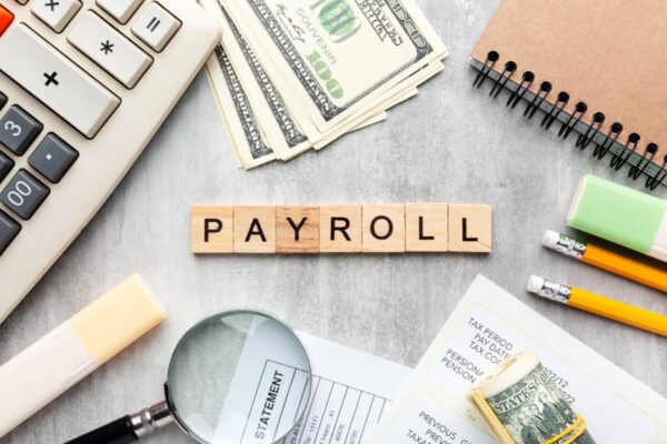 What Are the Risks of Not Using Professional Payroll Service Providers? Payroll Service Providers