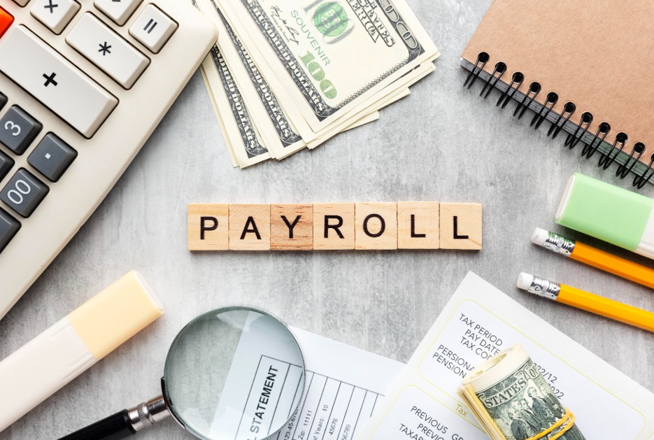 Payroll Service Providers
