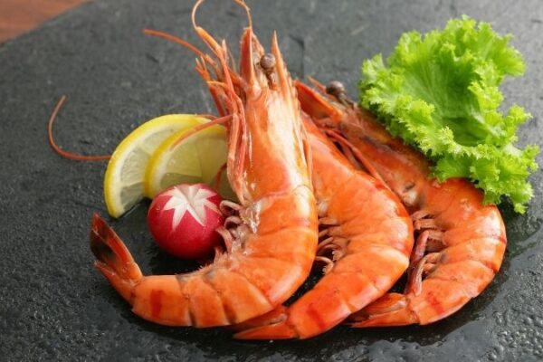 The Shrimp Wave: Innovation and Sustainability Insights Shrimp
