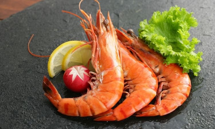 Shrimp
