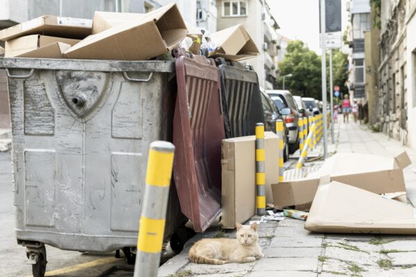 Revolutionizing Pet Waste Cleanup with GoGo Stik and Dootie Bags Revolutionizing Pet Waste Cleanup with GoGo Stik and Dootie Bags