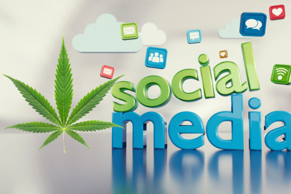 Cannabis Social Media Marketing Driving Growth for Cannabis Brands Cannabis Social Media Marketing