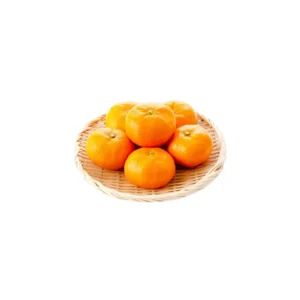 Gamagori Mandarin Oranges(1pc)